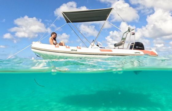 RIB 480 Mojito