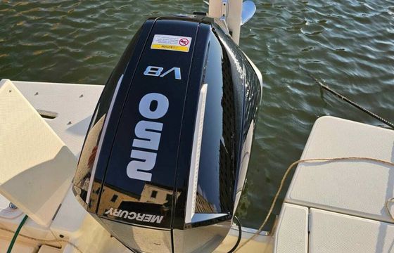 Quicksilver 755 Weekend 18