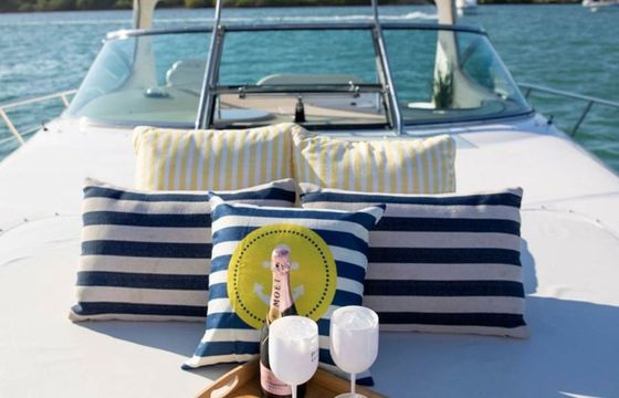 Sea Ray 55 Sexy Lady
