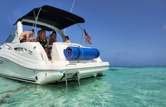 Sea Ray Sundancer 340 La Dulce Vida