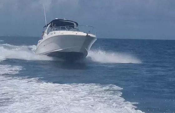 Sea Ray Sundancer 340 La Dulce Vida