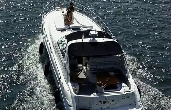 Sea Ray Sundancer 375 Purple
