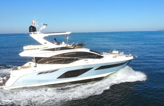 Sea Ray L550 Sea Owl
