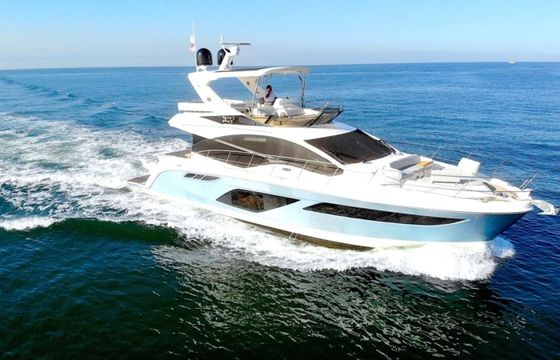 Sea Ray L550 Sea Owl