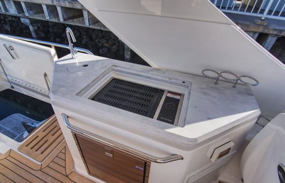 Sea Ray L550 Sea Owl