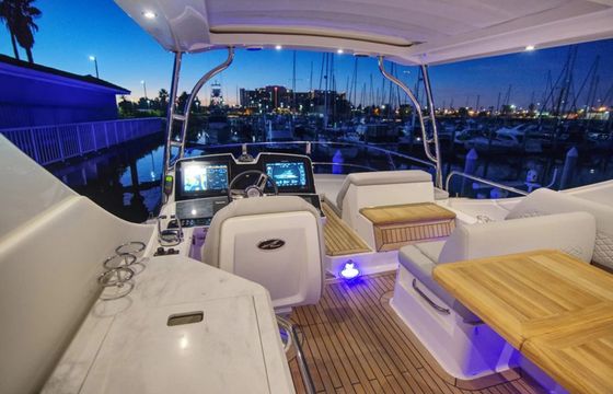 Sea Ray L550 Sea Owl