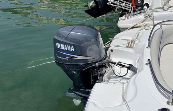 Ranieri Voyager 17 Voyager