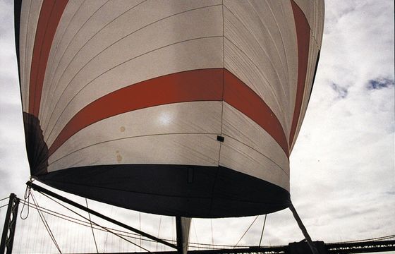 Santa Cruz 50 Yukon Jack