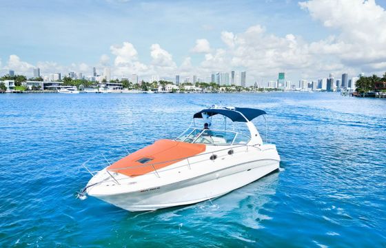 Sea Ray Sundancer 320 Sundancer 2