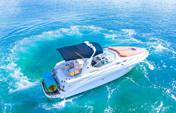 Sea Ray Sundancer 320 Sundancer 2
