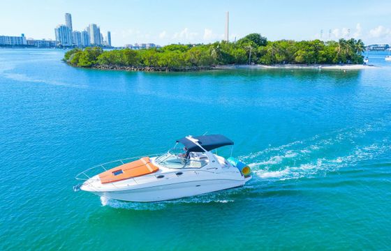 Sea Ray Sundancer 320 Sundancer 2