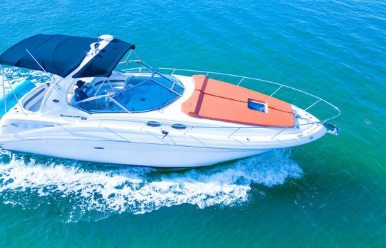 Sea Ray Sundancer 320 Sundancer 2