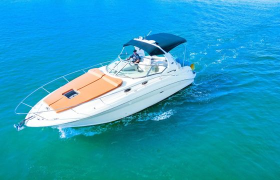 Sea Ray Sundancer 320 Sundancer 2