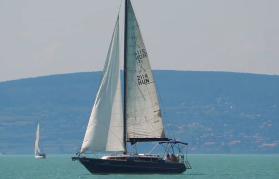 Rebell 31 Andi