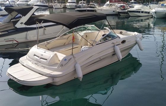 Sea Ray Sundeck 240 Blondel