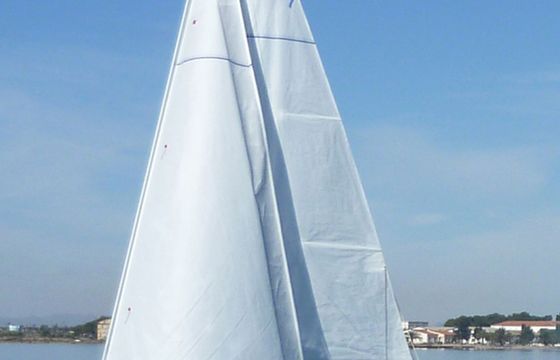 Russell Marine Vivacity 20 Virazoncito