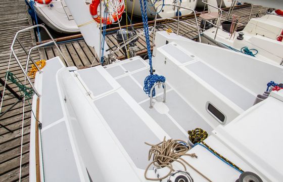 Sedna 30 Szuwarek
