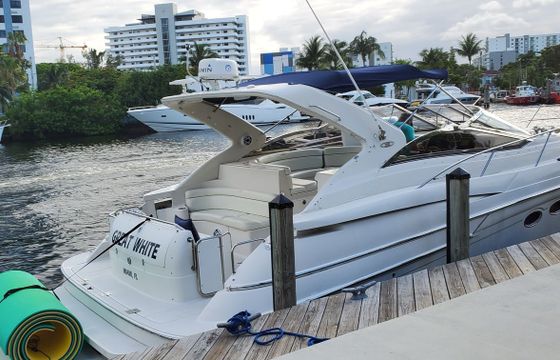 Regal 42 Great White