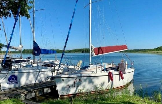 Sasanka 660 Mila