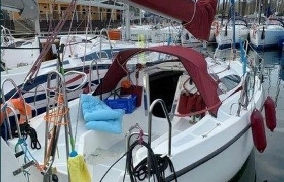 Sasanka 660 Mila