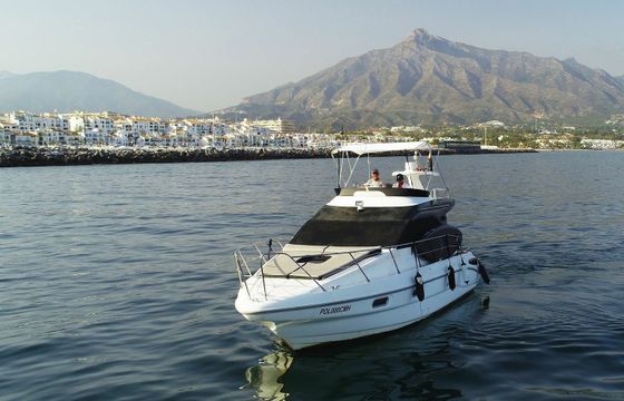Sealine S330 Project X