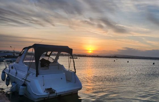 Saver Riviera 24 Carolagabri