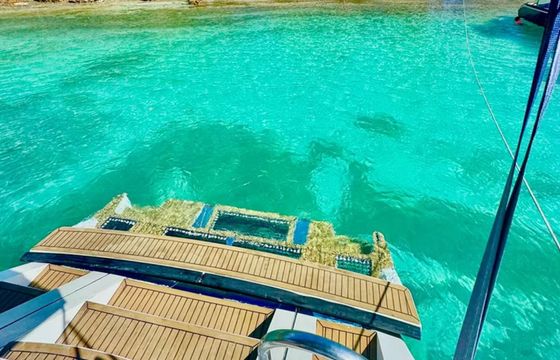 Sealine S48 Stardust