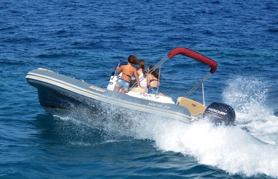 Salpa Soleil 23 Agamemnon