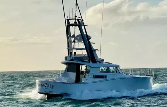 SeaWolf 49 SeaWolf