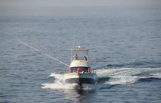 Rodman 1250 Blue Marlin 3