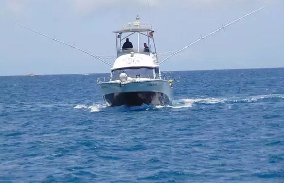 Rodman 1250 Blue Marlin 3