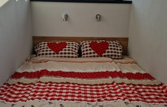 Rivo Campi 400 Sunflower