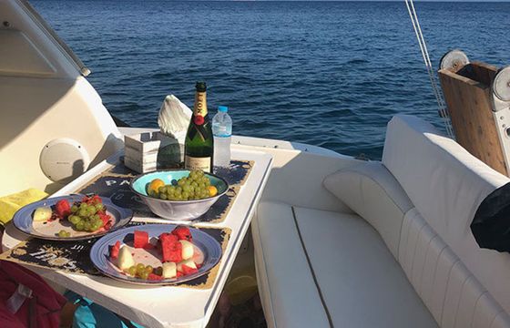 Sea Ray 290 Arrow