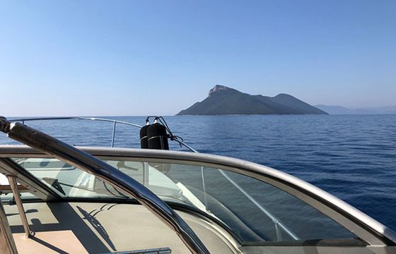 Sea Ray 290 Arrow