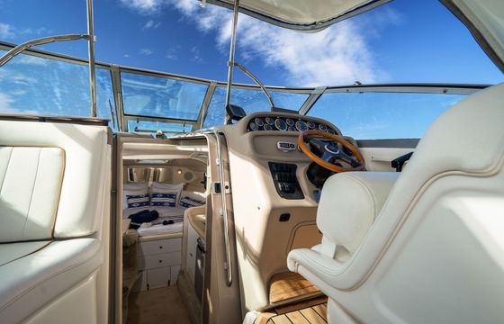 Sea Ray 290 Arrow