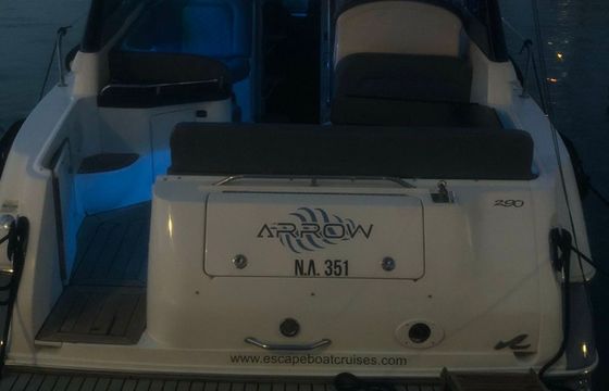 Sea Ray 290 Arrow