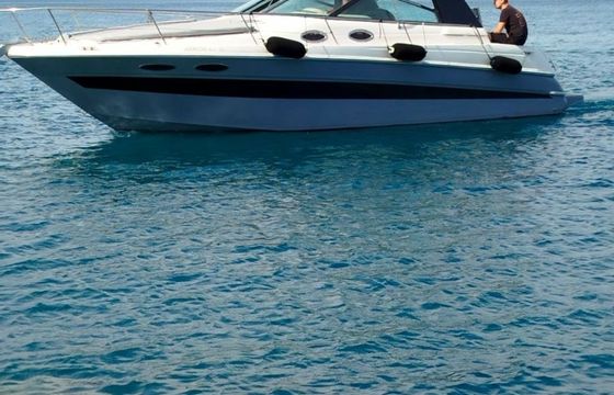 Sea Ray 290 Arrow