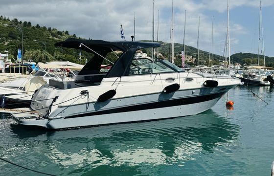 Sea Ray 290 Arrow