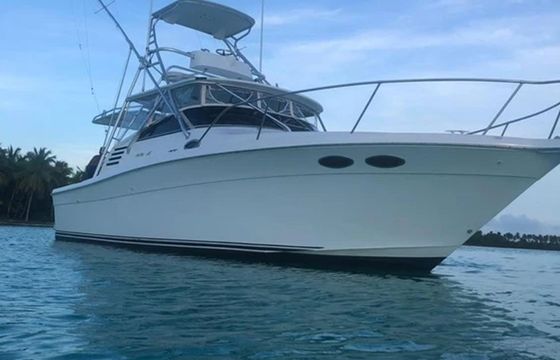 Sea Ray 35 Express La Pichona