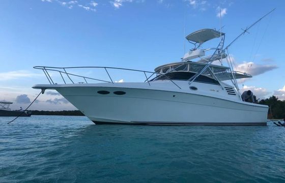 Sea Ray 35 Express La Pichona