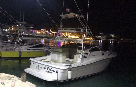 Sea Ray 35 Express La Pichona