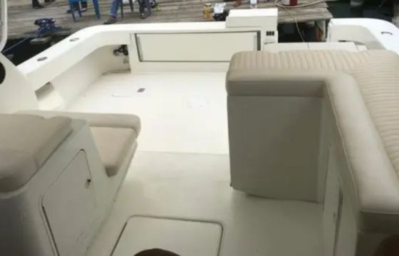 Sea Ray 35 Express La Pichona