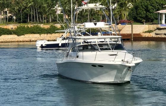 Sea Ray 35 Express La Pichona