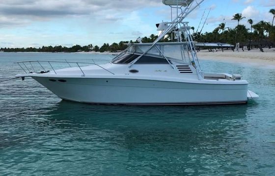 Sea Ray 35 Express La Pichona