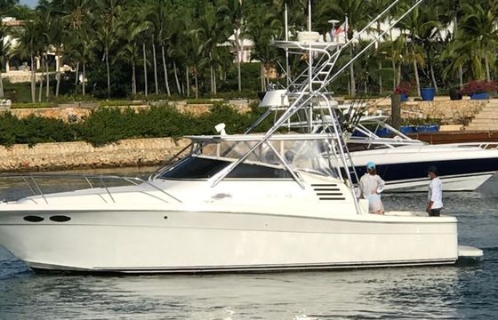 Sea Ray 35 Express La Pichona