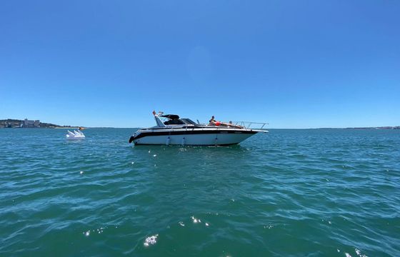 Sea Ray 350 Sundancer Golden Prestige