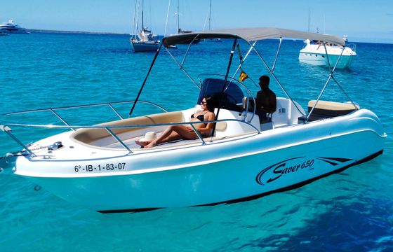 Saver 650 Valinas