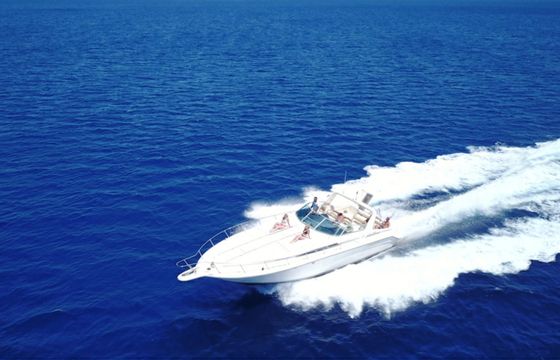 Sea Ray 455 Sundancer Octapus