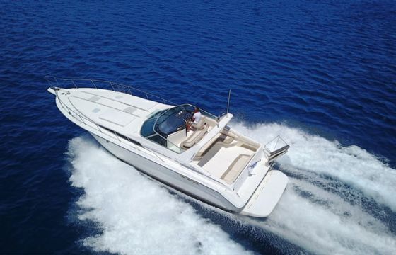 Sea Ray 455 Sundancer Octapus