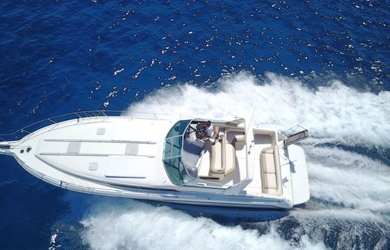 Sea Ray 455 Sundancer Octapus
